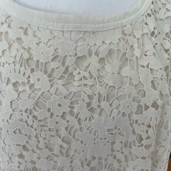 Ann Taylor Lace Dress - Picture 3 of 6